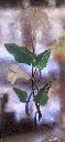 Filename=VITRAL_SIN_ORGANIZAR_28160829.gif
Filesize=126KiB
Dimensions=297x640
Date added=Sep 17, 2022 VITRAL_SIN_ORGANIZAR_28160829.gif