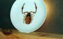 Filename=ACCESORIOS_282329.jpg
Filesize=18KiB
Dimensions=640x401
Date added=Sep 17, 2022 ACCESORIOS_282329.jpg