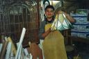 Filename=ACCESORIOS_289229.jpg
Filesize=31KiB
Dimensions=640x426
Date added=Sep 17, 2022 ACCESORIOS_289229.jpg