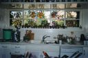 Filename=ACCESORIOS_287929.jpg
Filesize=34KiB
Dimensions=640x426
Date added=Sep 17, 2022 ACCESORIOS_287929.jpg