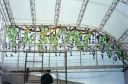 Filename=normal_Canceles_282629~0.jpg
Filesize=30KiB
Dimensions=400x265
Date added=Sep 17, 2022 normal_Canceles_282629~0.jpg