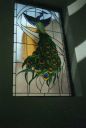 Filename=Fauna_2816029.jpg
Filesize=23KiB
Dimensions=431x640
Date added=Sep 17, 2022 Fauna_2816029.jpg