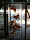 Filename=Fauna_2819529.JPG
Filesize=125KiB
Dimensions=480x640
Date added=Sep 17, 2022 Fauna_2819529.JPG
