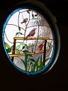 Filename=Fauna_2823529.JPG
Filesize=58KiB
Dimensions=480x640
Date added=Sep 17, 2022 Fauna_2823529.JPG