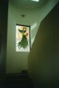 Filename=img800.jpg
Filesize=13KiB
Dimensions=432x640
Date added=Sep 17, 2022 img800.jpg